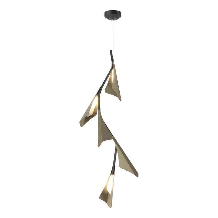 Plume 5-Light LED Pendant in Black with Soft Gold Accent - 135006-LED-STND-10-84 by Hubbardton Forge