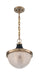 60-7060 - Faro 1-Light Pendant in Burnished Brass & Black Accents by Nuvo Lighting