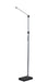 Lennox LED Floor Lamp in Black & Silver