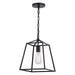 P0311 - Hayes 1-Light Mini Pendant in Black by Vaxcel