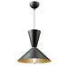 SC13292BK - Tempo 1-Light Pendant in Matte Black & Brass by Artcraft