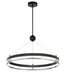 N7994-572-L - Grande Illusion LED Pendant in Coal with Polished Nickel Highlights by Metropolitan