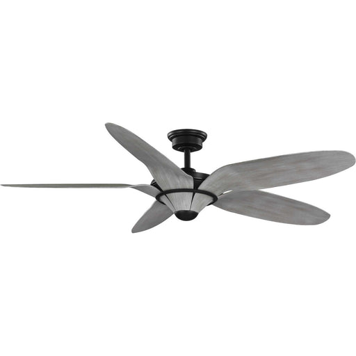 P250073-182 - Mesilla 60" Ceiling Fan in Flat Black by Progress Lighting