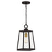 AMBL1508WT - Amberly Grove 1-Light Mini Pendant in Western Bronze by Quoizel