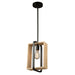 Perris One Light Pendant in Black