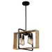 Perris Four Light Pendant in Black