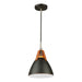 Tote One Light Pendant in Black