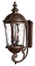 1895RK - Windsor Large Wall Mount Lantern by Hinkley Lighting