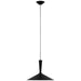 Rosetta LED Pendant in Matte Black and Polished Nickel