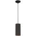 29001LEDDLP-MBL-C- Pilson LED Pendant in Matte Black by Access Lighting