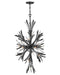 FR40907BGR- Vida LED Chandelier in Brushed Graphite by Fredrick Ramond