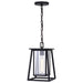 T0609- Blackwell 1-Light Outdoor Pendant in Matte Black by Vaxcel