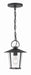 AND-9203-CL-MK- Andover 1-Light Outdoor Chandelier in Matte Black by Crystorama