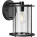 P560058-31M- Gunther 1-Light Outdoor Wall Lantern in Matte Black by Progress Lighting