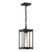 Cela Medium Outdoor Lantern in Coastal Black - 362021-SKT-80-ZM0730 by Hubbardton Forge