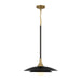 Welsh LED Pendant in Black