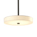 Disq LED Pendant in Dark Smoke - 139710-LED-MULT-07-SH1971 by Hubbardton Forge