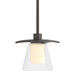 Wren Mini Pendant in Dark Smoke - 186600-SKT-MULT-07-ZU0284 by Hubbardton Forge