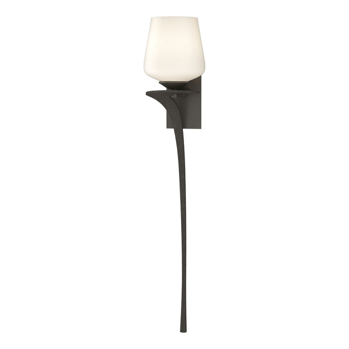 Antasia Single Glass 1 Light (Left Side) Sconce in Dark Smoke - 204710-SKT-LFT-07-GG0236 by Hubbardton Forge