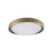 FYN-1224LEDFH-AGB- Flynn LED Flush Mount in Aged Brass by Dainolite