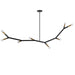 MOR-608HP-MB-AGB- Morgan 8-Light Pendant in Matte Black by Dainolite