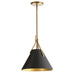 NIC-101P-AGB-BK- Nicole 1-Light Pendant in Aged Brass by Dainolite