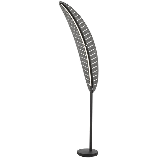 PMA-7022F-MB-500- Palma LED Floor Lamp in Matte Black by Dainolite