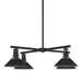 Henry Outdoor 4-Light Pendant in Coastal Black - 364210-SKT-MULT-80 by Hubbardton Forge