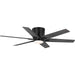 Bexar 54" Ceiling Fan in Matte Black