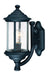 915-50- Walnut Grove Outdoor 1-Light Wall Sconce in Black with Seedy Glass by Dolan Designs