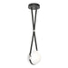 Derby Small LED Pendant in Black with Polished Nickel Accent - 131040-LED-STND-10-24-LK-HF-GG0670 by Hubbardton Forge