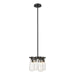 Eos Semi-Flush/Pendant in Black - 131062-SKT-MULT-10-ZM0718 by Hubbardton Forge