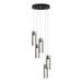 Exos Glass 5-Light Pendant in Oil Rubbed Bronze - 131124-SKT-STND-14-ZM0065 by Hubbardton Forge