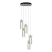 Exos Glass 5-Light Pendant in Sterling - 131124-SKT-STND-85-ZM0065 by Hubbardton Forge