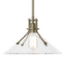 Henry Medium Glass Shade Pendant in Soft Gold - 134553-SKT-MULT-84-ZM0686 by Hubbardton Forge