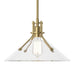 Henry Medium Glass Shade Pendant in Modern Brass - 134553-SKT-MULT-86-ZM0686 by Hubbardton Forge