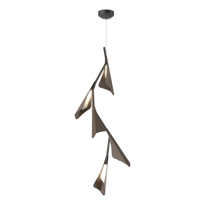 Plume 5-Light LED Pendant in Black with Bronze Accent - 135006-LED-STND-10-05 by Hubbardton Forge