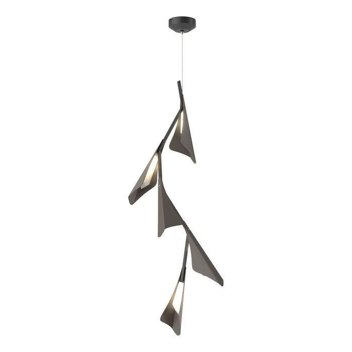 Plume 5-Light LED Pendant in Black with Dark Smoke Accent - 135006-LED-STND-10-07 by Hubbardton Forge