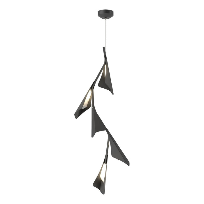 Plume 5-Light LED Pendant in Black with Black Accent - 135006-LED-STND-10-10 by Hubbardton Forge