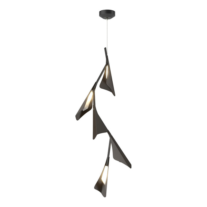 Plume 5-Light LED Pendant in Black with Oil Rubbed Bronze Accent - 135006-LED-STND-10-14 by Hubbardton Forge