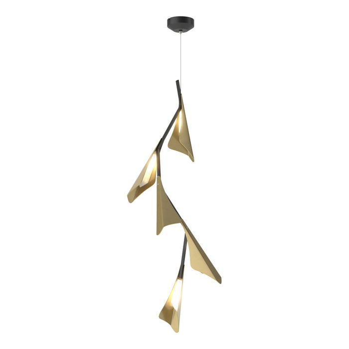 Plume 5-Light LED Pendant in Black with Modern Brass Accent - 135006-LED-STND-10-86 by Hubbardton Forge