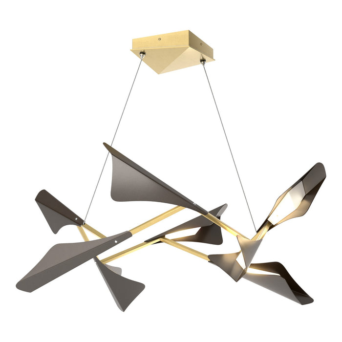 Plume 8-Light LED Pendant in Modern Brass with Oil Rubbed Bronze Accent - 135007-LED-STND-86-14 by Hubbardton Forge