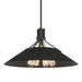 Henry Pendant in Black with Black Accent - 136340-SKT-MULT-10-10 by Hubbardton Forge