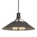 Henry Pendant in Oil Rubbed Bronze with Natural Iron Accent - 136340-SKT-MULT-14-20 by Hubbardton Forge