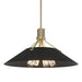 Henry Pendant in Soft Gold with Black Accent - 136340-SKT-MULT-84-10 by Hubbardton Forge