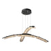 Glissade Double Large LED Pendant in Black - 137587-LED-STND-10-ZM0749 by Hubbardton Forge