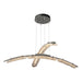 Glissade Double Large LED Pendant in Natural Iron - 137587-LED-STND-20-ZM0749 by Hubbardton Forge