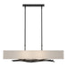 Brindille Pendant in Black - 137660-SKT-STND-10-SE4298 by Hubbardton Forge