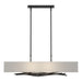 Brindille Pendant in Black - 137660-SKT-STND-10-SF4298 by Hubbardton Forge