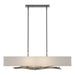 Brindille Pendant in Natural Iron - 137660-SKT-STND-20-SE4298 by Hubbardton Forge